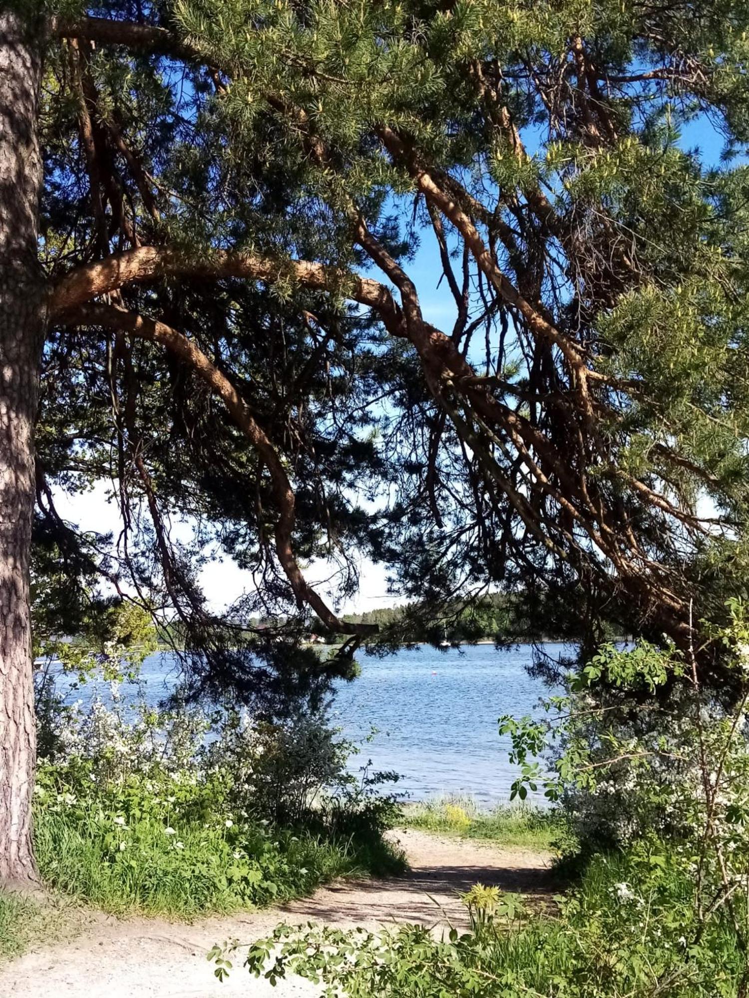 Ferienwohnung La Casa Marrone Norway Asker Exterior foto